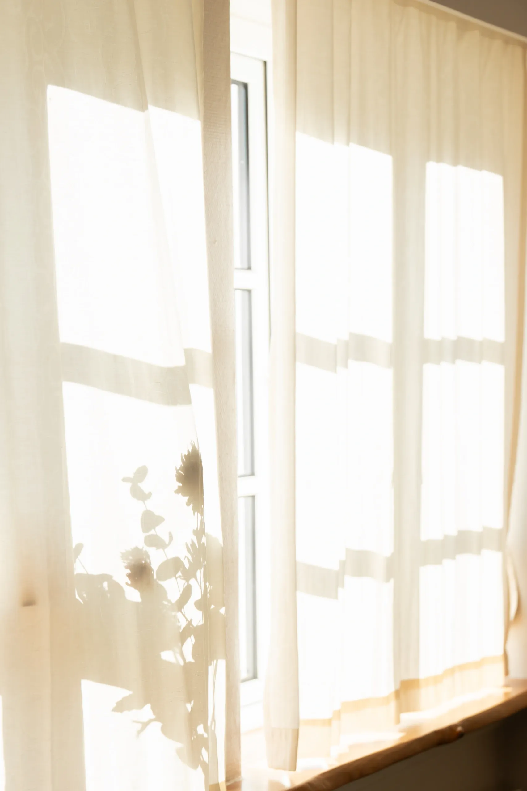 Sunlight through a sheer curtain