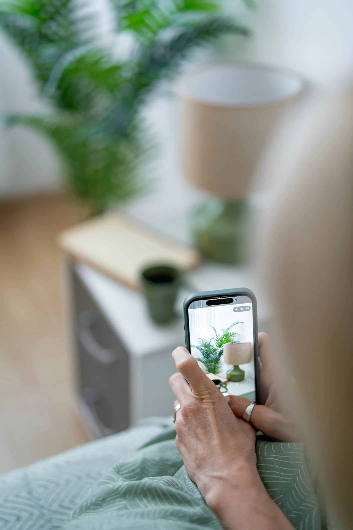 Photographing a plant with a phone to identify it