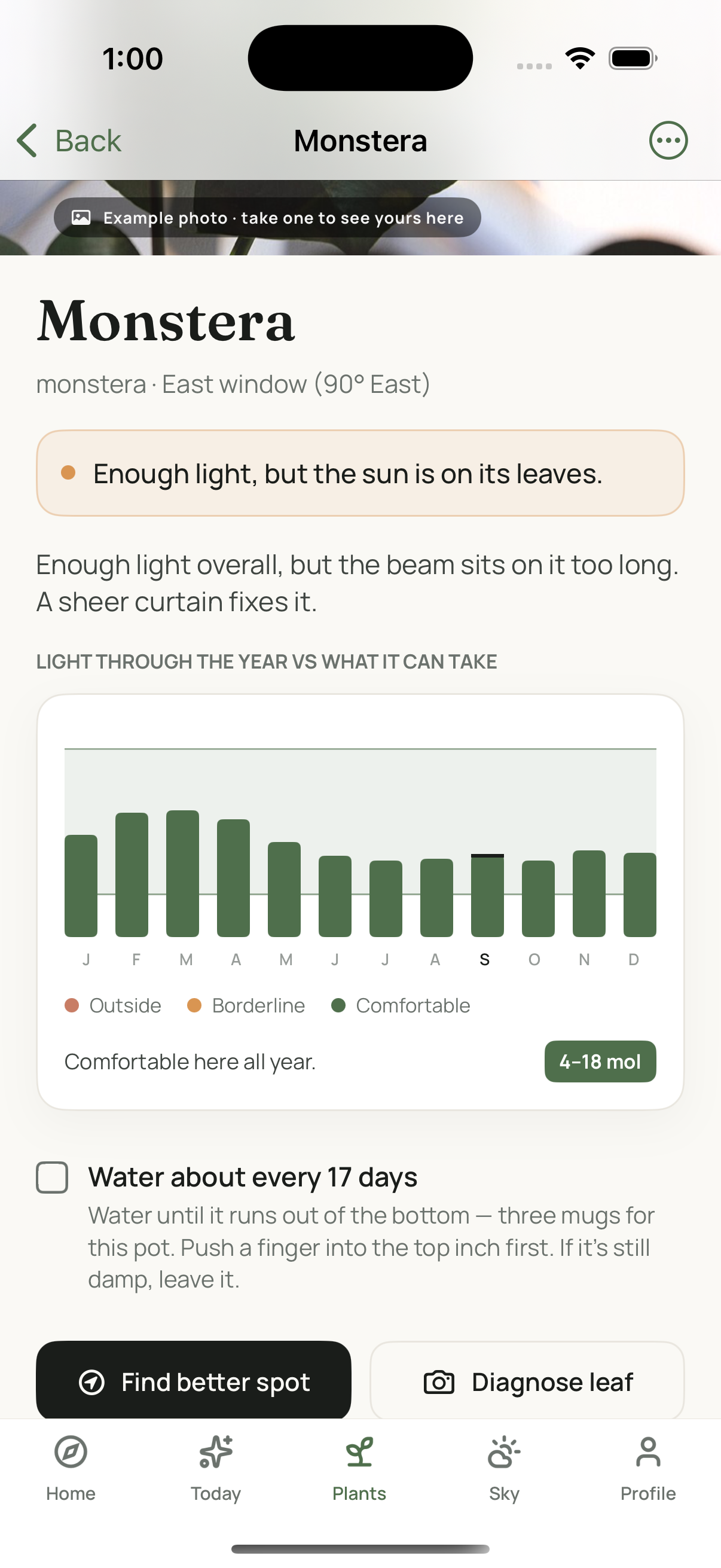 A plant's page in Leafed, with Diagnose leaf and Find better spot alongside the current verdict