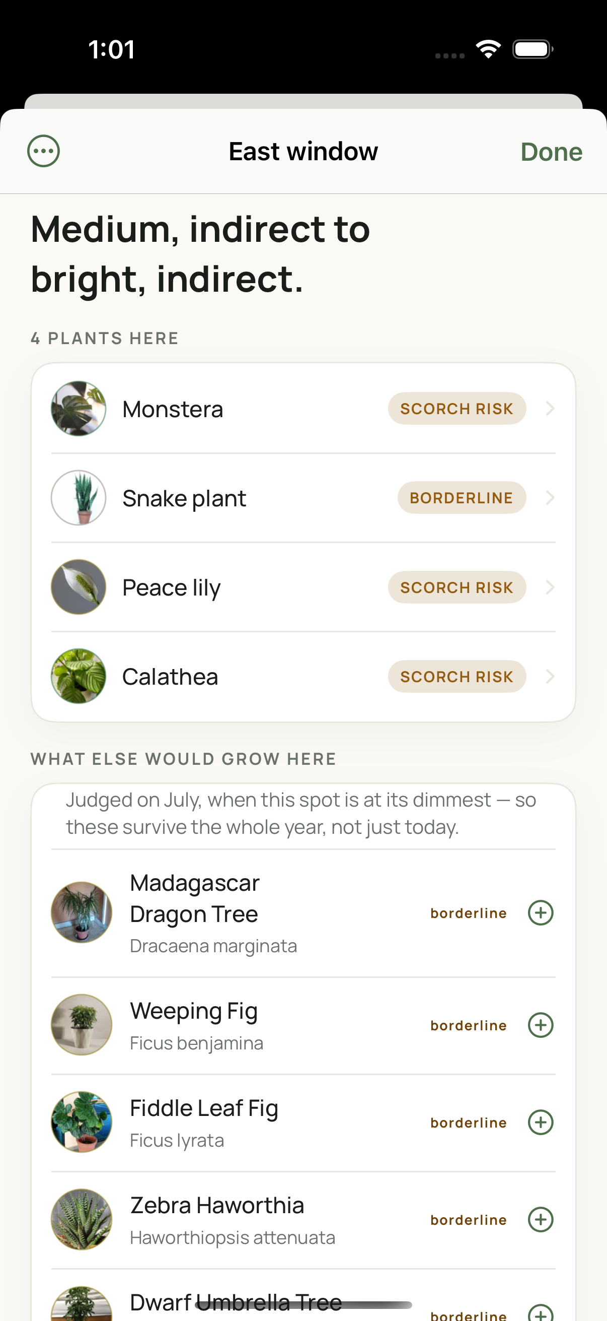 A window's own page: how bright it is through the year, and which plants suit it