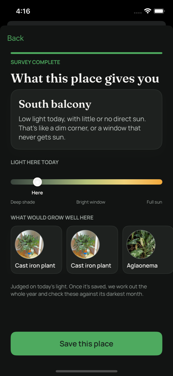 The result of a survey in Leafed: the light that place gets, month by month through the year